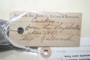 Original label 