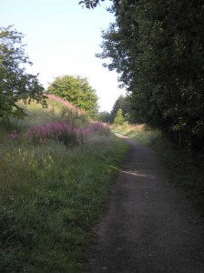 Lanchester Valley Line 