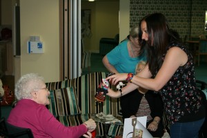 Linskill Park Celebration Event - Museum objects