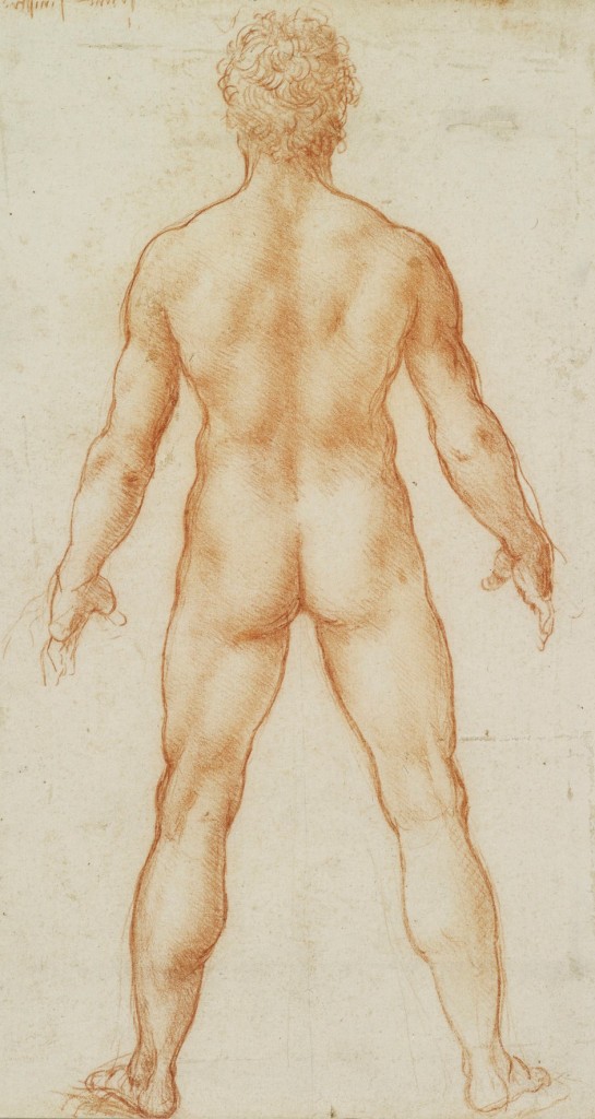 A male nude 