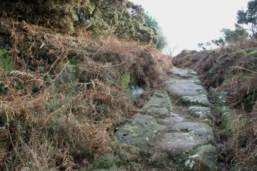 Rutway, Stoupe Brow Moor