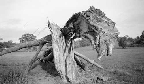 ‘Monster Field’ 1938 by Paul Nash 1889-1946, Photo © Tate, London 2016. reative Commons CC-BY-NC-ND (3.0 Unported)